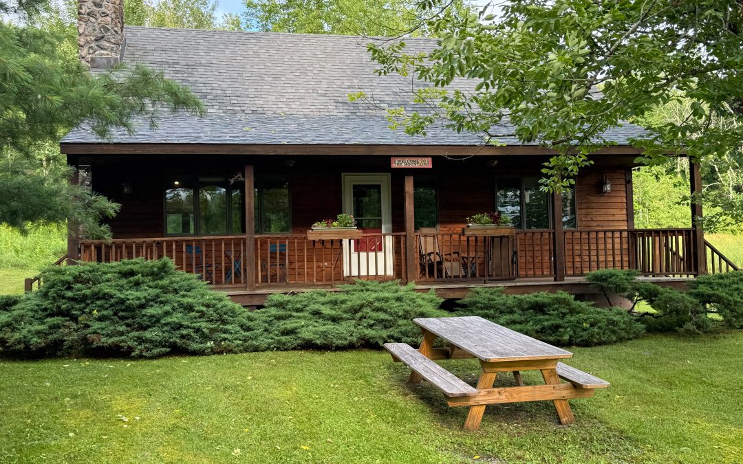 Mountain Cabin in the Catskills