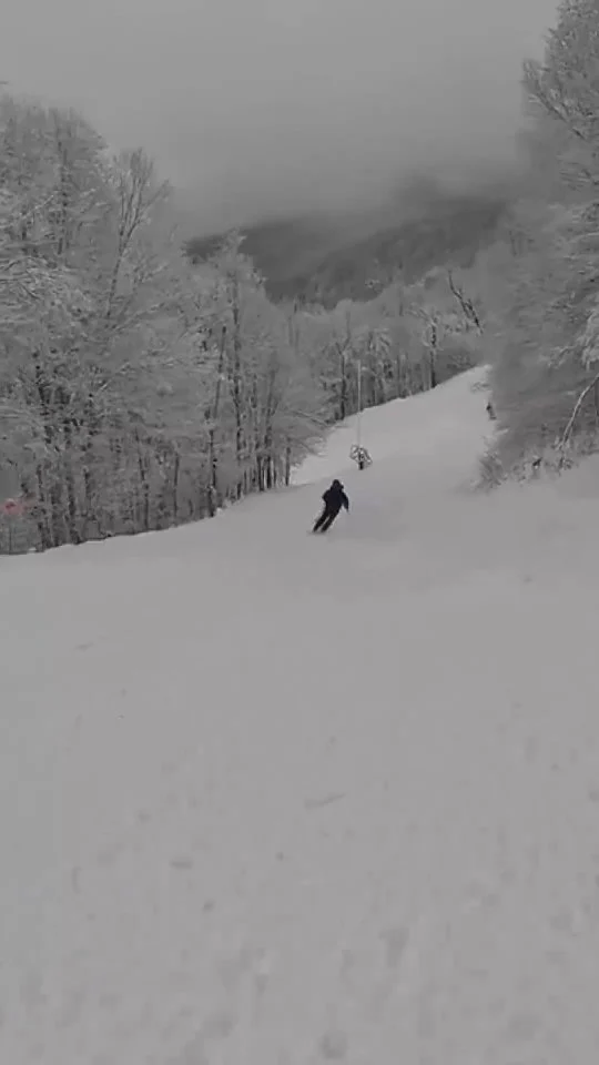 Guns are firing around the clock, natural snowfall is on its way and our tentative opening day is in just 2 weeks!! See you on the slopes soon 🌨🏔⛷️🏂

#countdowntoopeningday #supportindependent #independentmountain #plattekillmountain

📹 @somewhere2ski